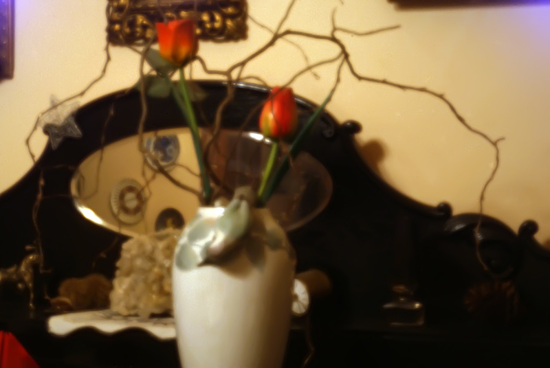 DSC03243 kopie.jpg